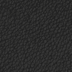 Obsidian Pebbled Plant Leather